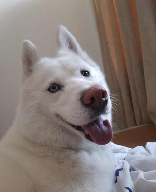 Aza