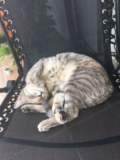 Luna