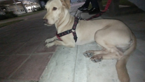 Kenay
