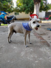 Foto de Dominic Andres en Valledupar Cesar #2