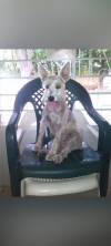 Foto de Dominic Andres en Valledupar Cesar #0