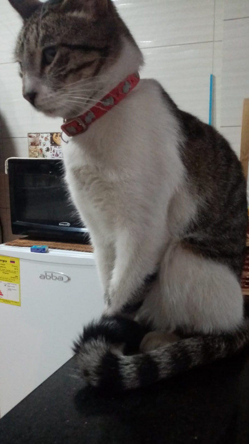 Milo