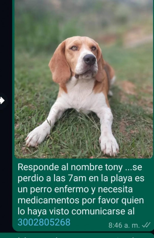 Tony