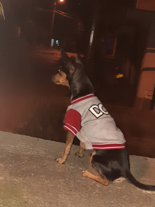 Tommy