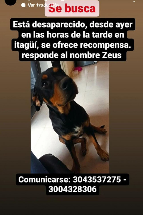 Zeus
