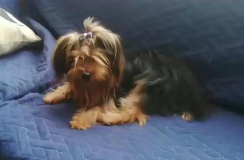 Peggy