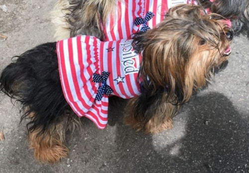 Peggy