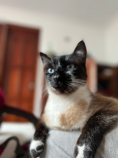 Sam