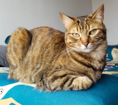 Luna