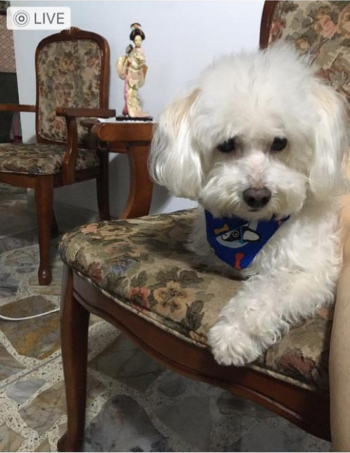 Paco