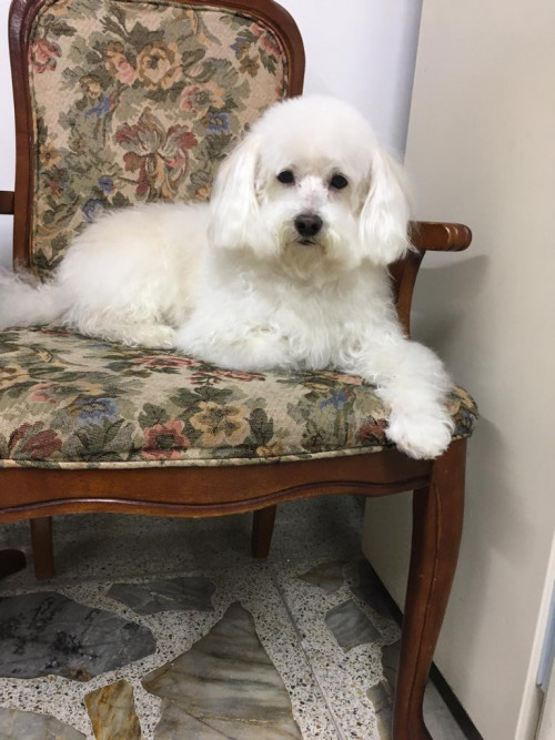Paco