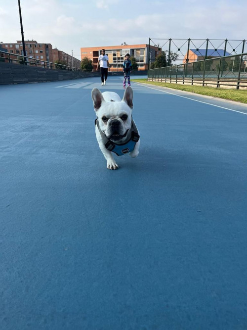 Sam
