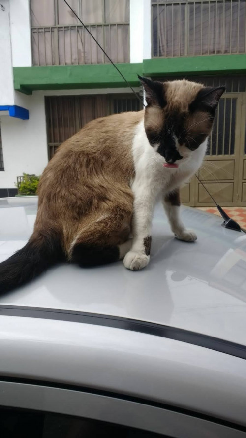 Ramón 