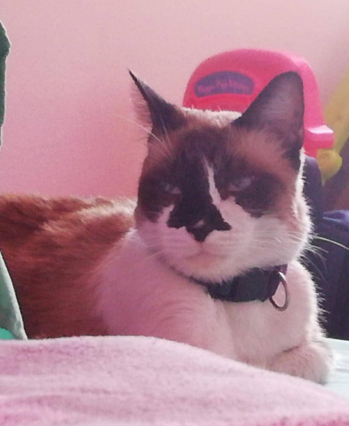Ramón 