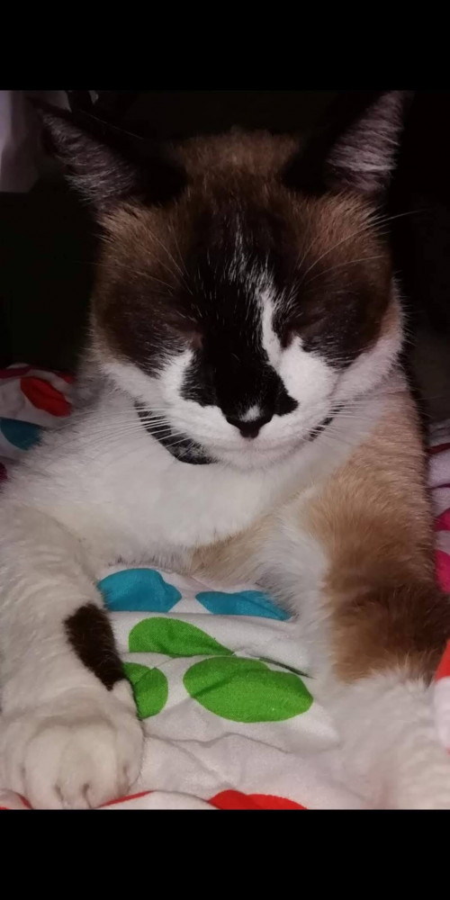 Ramón 