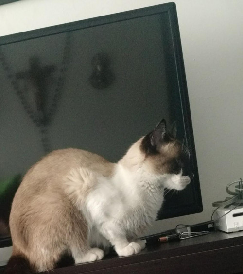 Ramón 