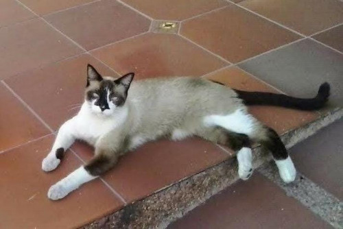 Ramón 