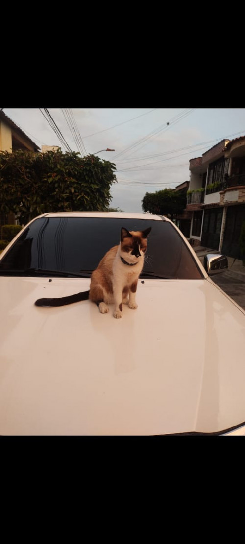 Ramón 