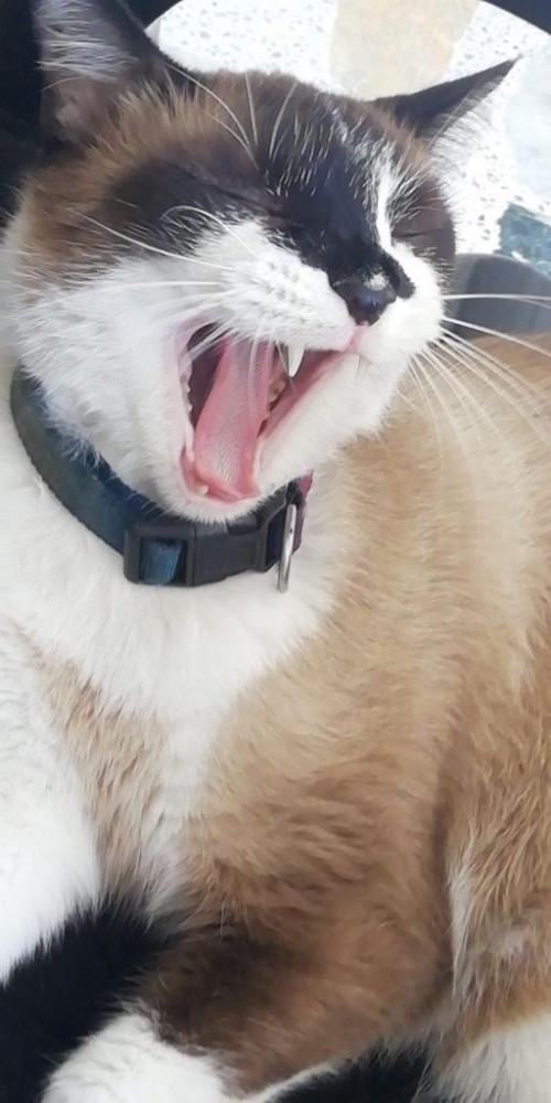 Ramón 
