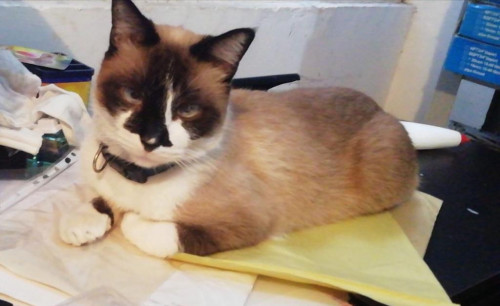 Ramón 