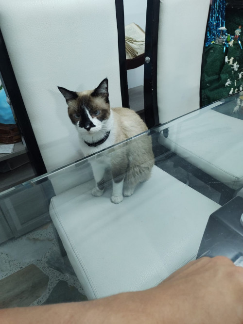 Ramón 