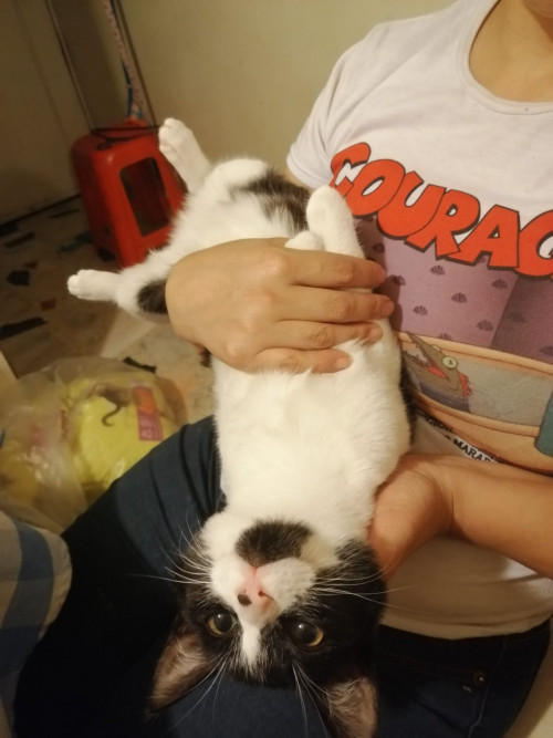 Coco 
