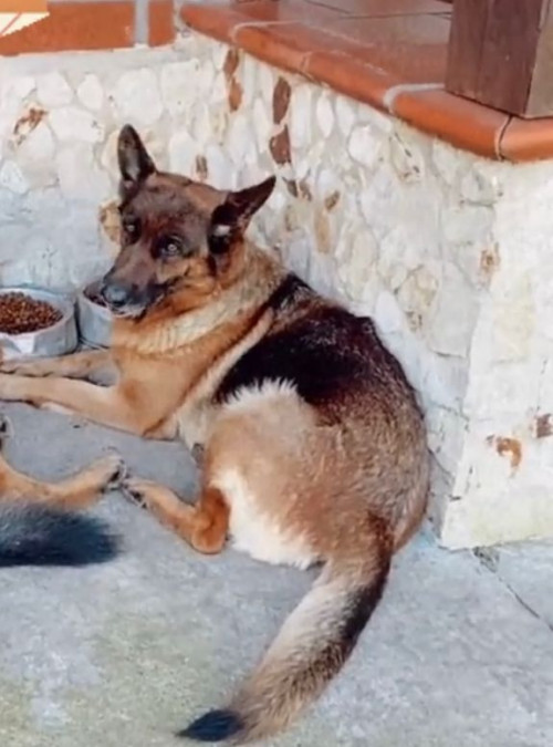 Ilka