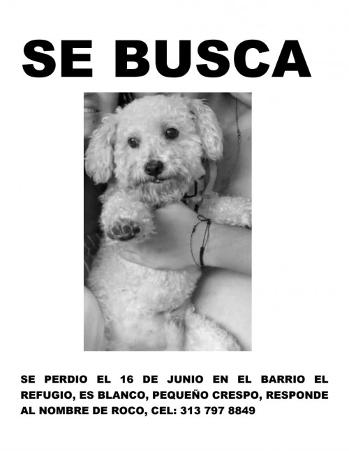 Rocko