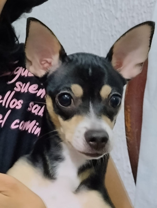 Max
