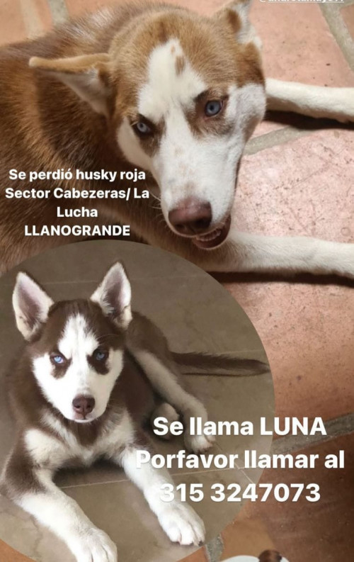 Luna