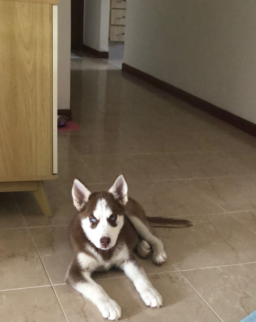 Luna