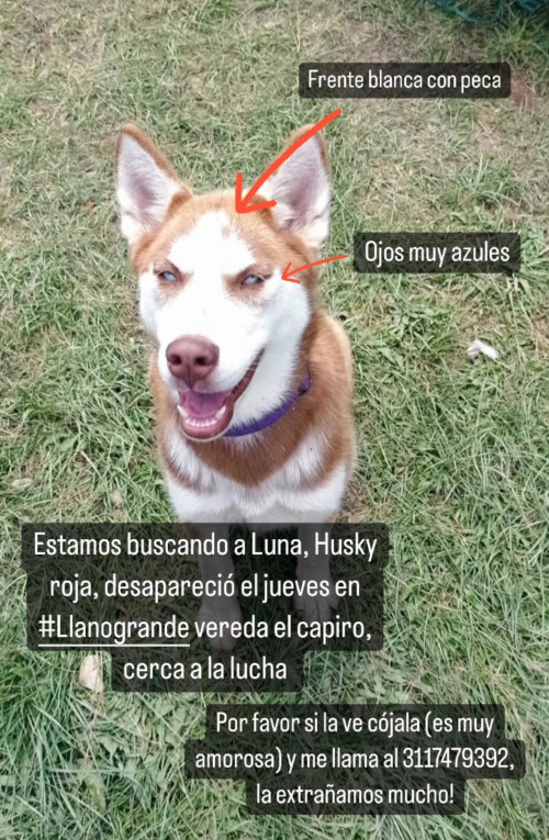 Luna