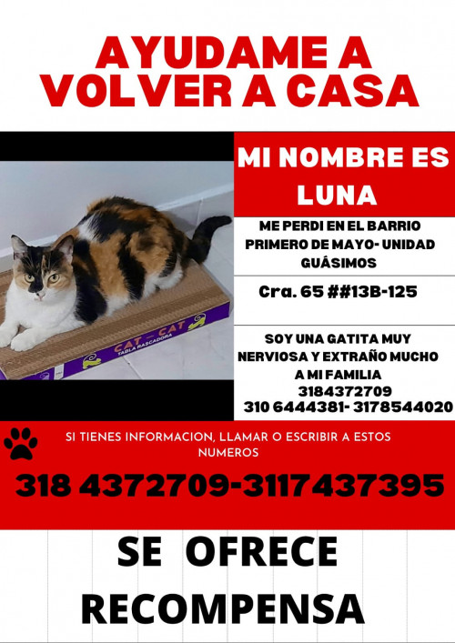 Luna