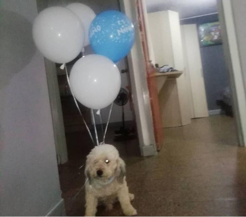 Lucky