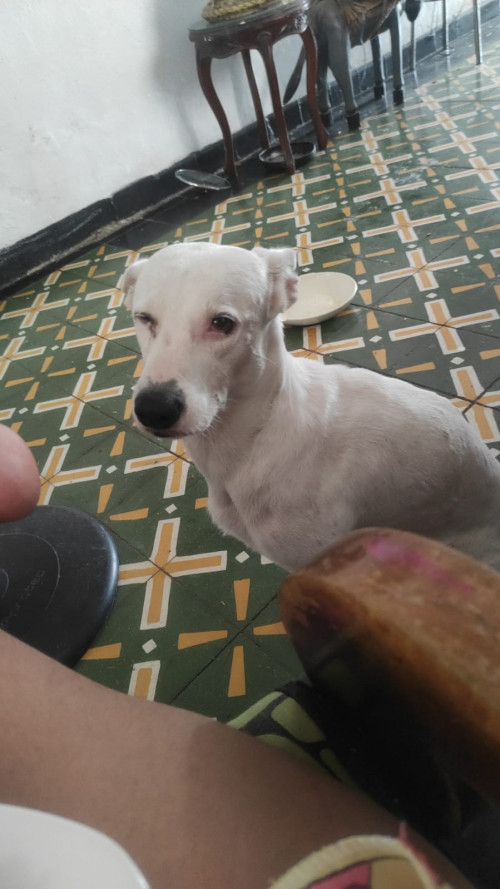 Benyi