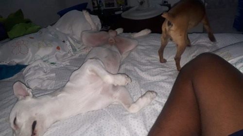 Benyi