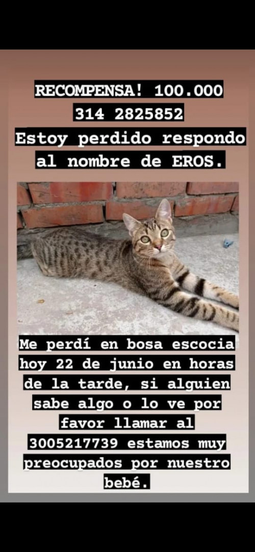 Eros