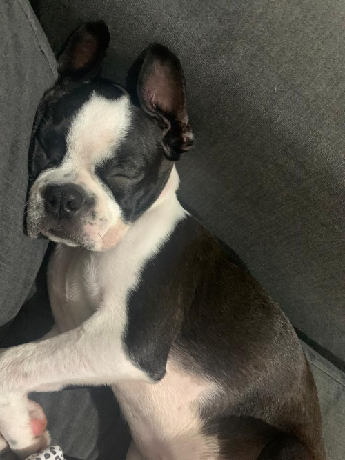 Niña 