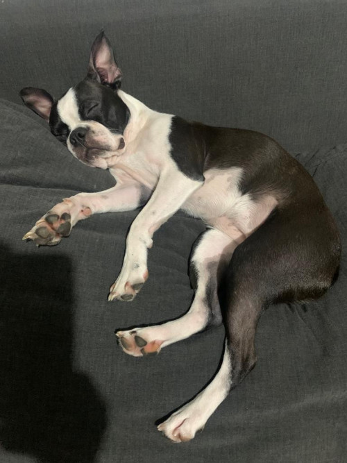  Niña 