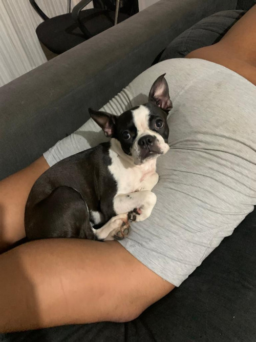 Niña 