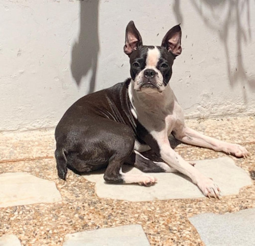  Niña 