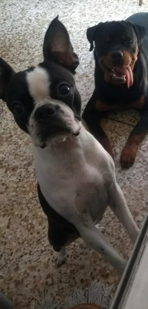  Niña 