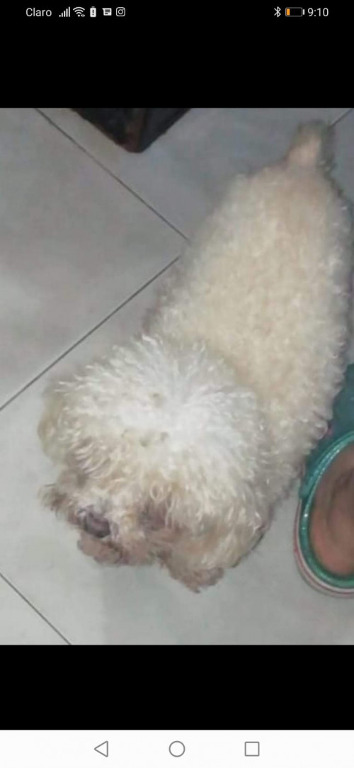 Samy