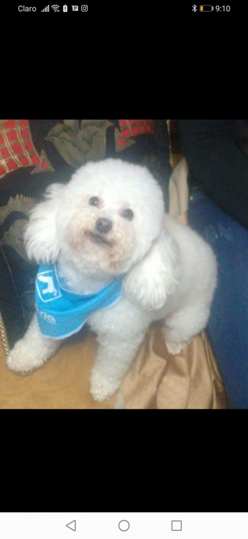 Samy