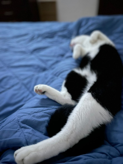 Benyi
