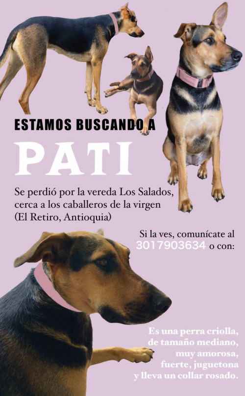 Pati
