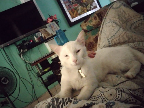 Jack