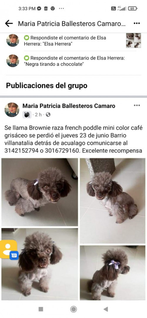 Brownie