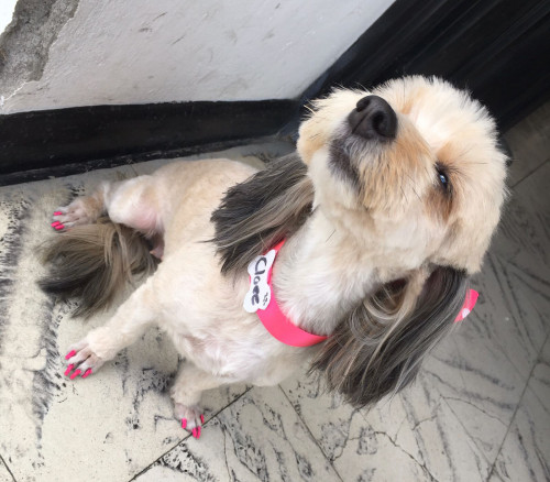 Chloe