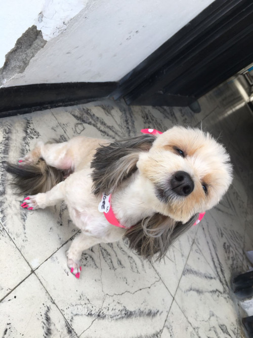 Chloe